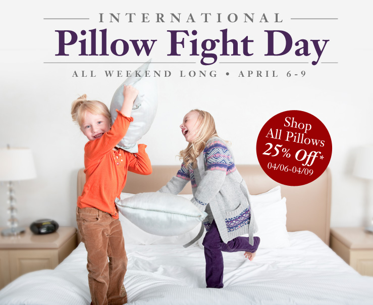 International Pillow Fight Day